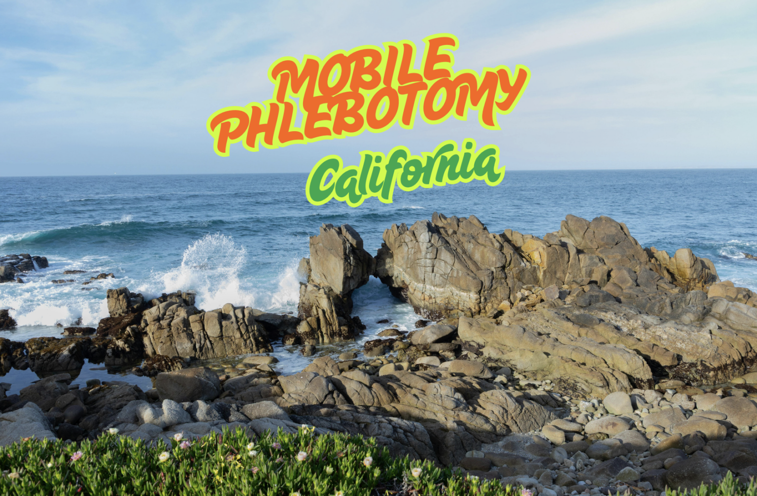 Mobile Blood Collection Services in California